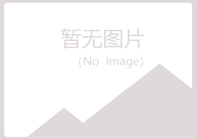 兴山县心痛化学有限公司